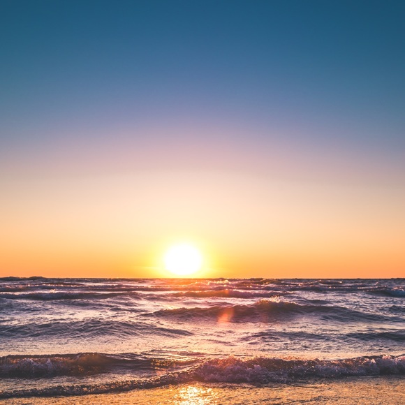 Meet Your Posher - Picture 1 of 1